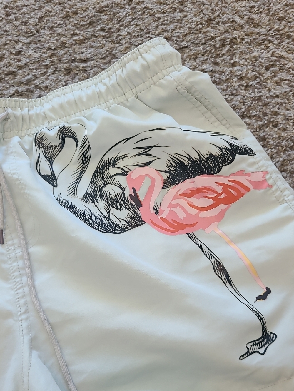 Philcos Light Green Swim Shorts with Flamingo Graphic